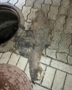 Gyökértelenítés gyökérel benött csatorna duguláselháritás Budapest